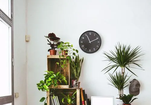 13 ekologicky šetrných dekorů do domácnosti, které vám pomohou dosáhnout zeleně