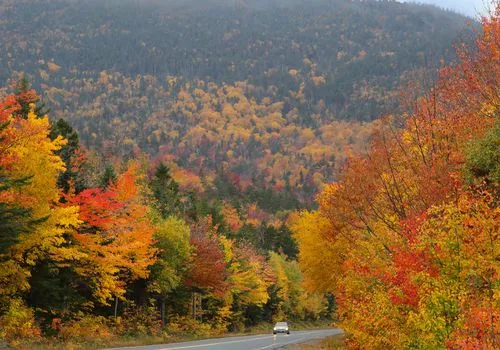 4 أفكار رومانسية لرحلة الطريق الخريف نحبها