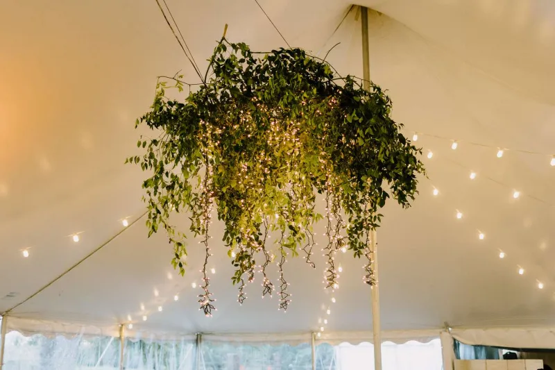   Alex e Uche's greenery installation hanging from their ceiling